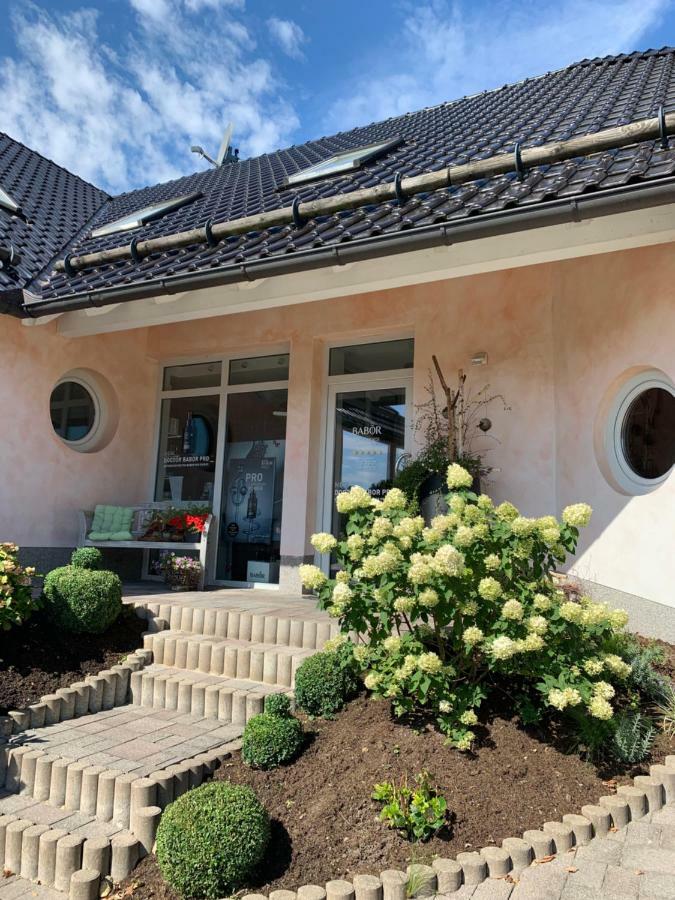 Ferienwohnung Lifestyle Kurort Steinbach-Hallenberg Exterior foto